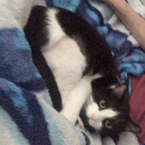 Meet your Posher, Nicholas